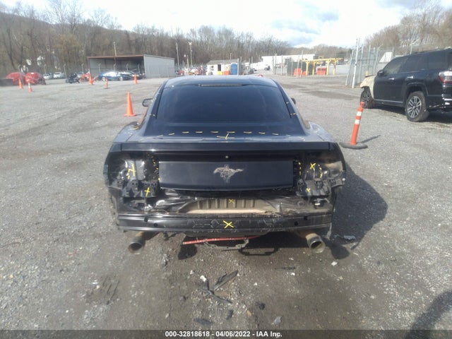 2015 Ford Fastback, VIN: 1FA6P8AM2F5407311