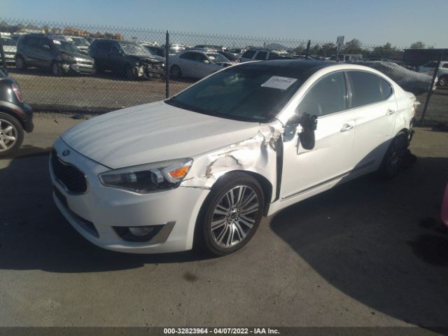 KNALN4D78E5153228 KIA Cadenza Premium