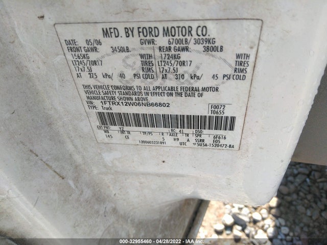2006 FORD F-150 VIN: 1FTRX12W06NB66802