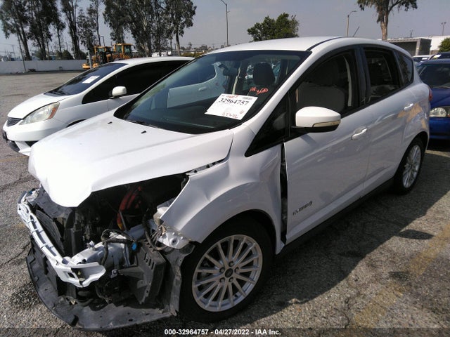 2015 Ford C-Max, VIN: 1FADP5AU0FL119675