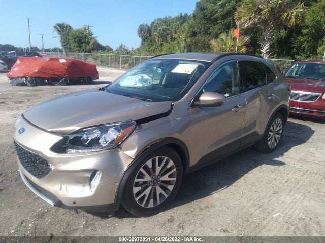 2020 Ford Escape, VIN: 1FMCU0DZ1LUC13011