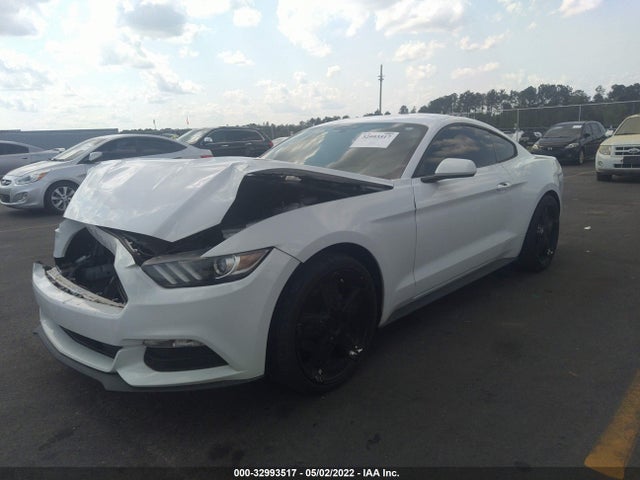 2015 Ford Fastback, VIN: 1FA6P8AM6F5324786