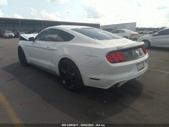 2015 Ford Fastback, VIN: 1FA6P8AM6F5324786