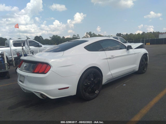 2015 Ford Fastback, VIN: 1FA6P8AM6F5324786