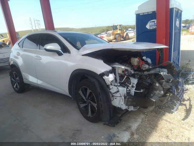 2019 Lexus NX, VIN: JTJBJRBZ3K2099892