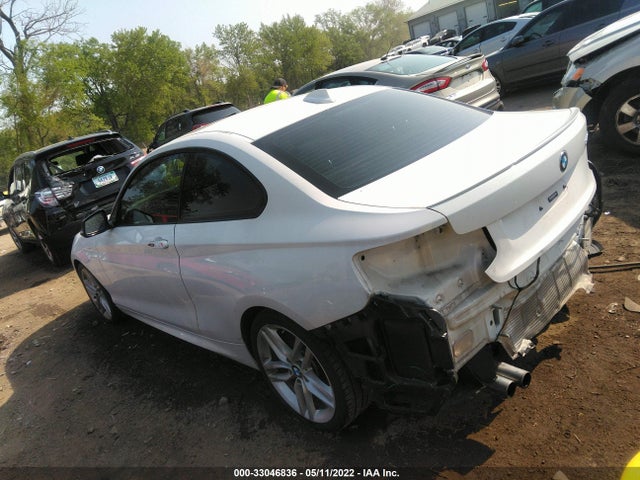 2014 BMW 2 Series, VIN: WBA1F5C5XEV255687