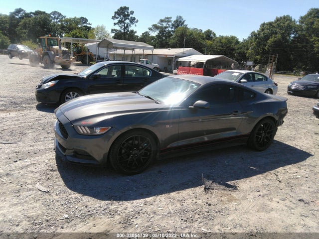 2015 Ford Fastback, VIN: 1FA6P8AM5F5346682