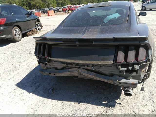 2015 Ford Fastback, VIN: 1FA6P8AM5F5346682