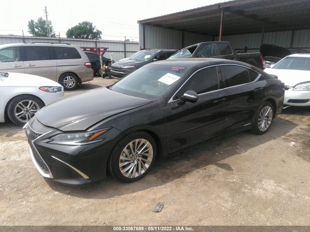 2022 Lexus ES, VIN: 58AFA1C13NU019244