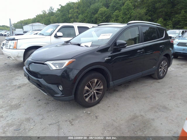 2016 Toyota RAV4, VIN: JTMRJREV0GD023228