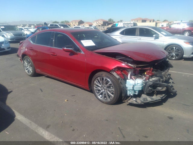 2019 Lexus ES, VIN: JTHB21B16K2024260