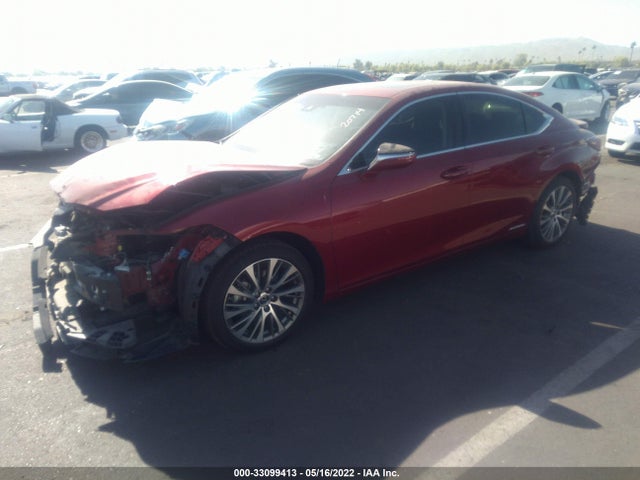 2019 Lexus ES, VIN: JTHB21B16K2024260
