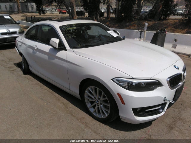 2016 BMW 2 Series, VIN: WBA1F9C54GV545482