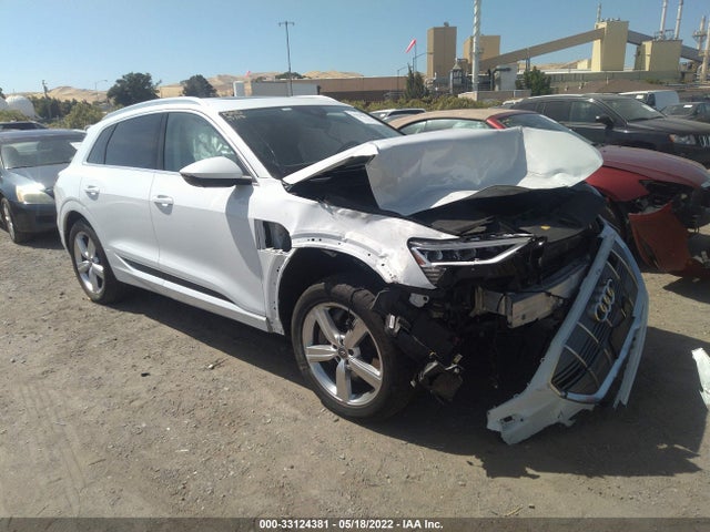 2019 Audi e-tron, VIN: WA1LABGE2KB014779