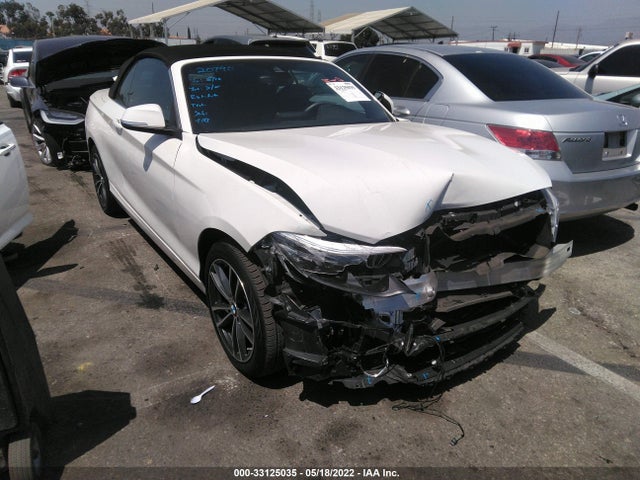 2019 BMW 2 Series, VIN: WBA2M7C51K7D15493