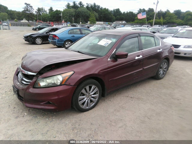 Honda Accord Sdn Ex-l 2011 1HGCP3F87BA008294 Image 2