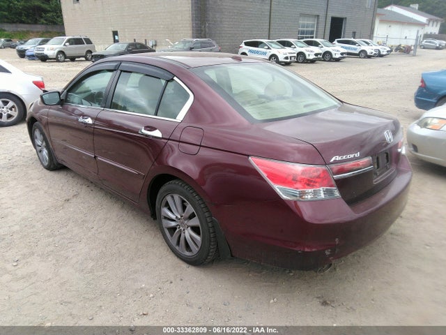 Honda Accord Sdn Ex-l 2011 1HGCP3F87BA008294 Image 3