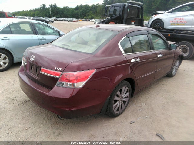 Honda Accord Sdn Ex-l 2011 1HGCP3F87BA008294 Image 4