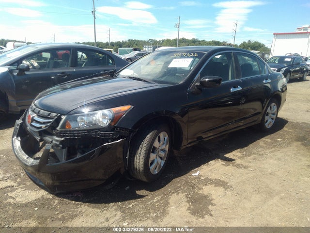 2010 HONDA ACCORD SDN EX VIN: 1HGCP2F74AA137383