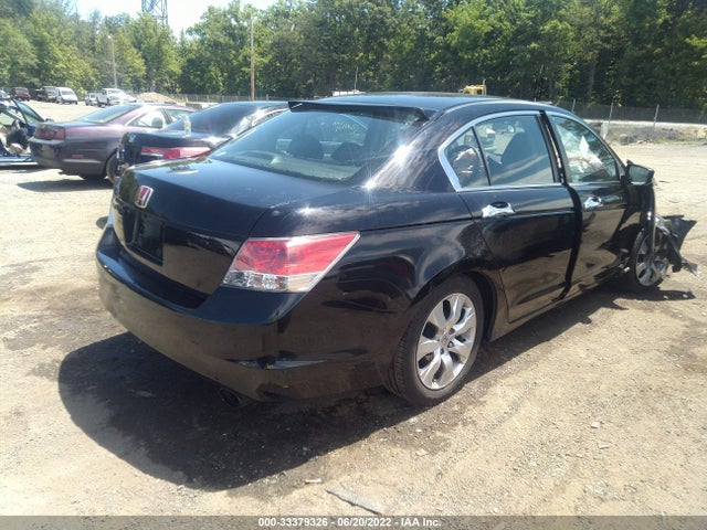 2010 HONDA ACCORD SDN EX VIN: 1HGCP2F74AA137383