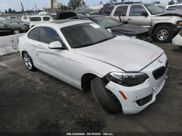 2015 BMW 2 Series, VIN: WBA1F9C51FVW98514