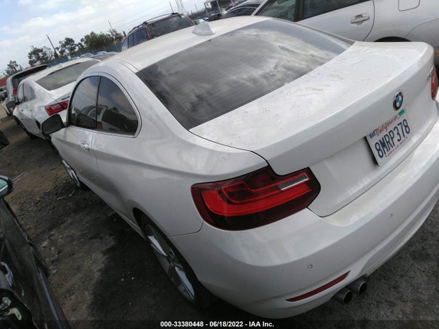 2015 BMW 2 Series, VIN: WBA1F9C51FVW98514