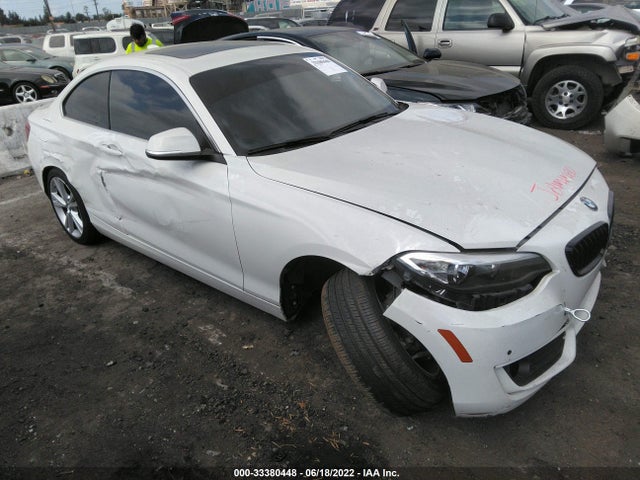 2015 BMW 2 Series, VIN: WBA1F9C51FVW98514