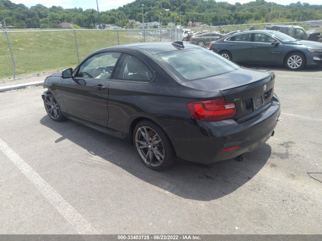 2016 BMW 2 Series, VIN: WBA1J9C55GV371713