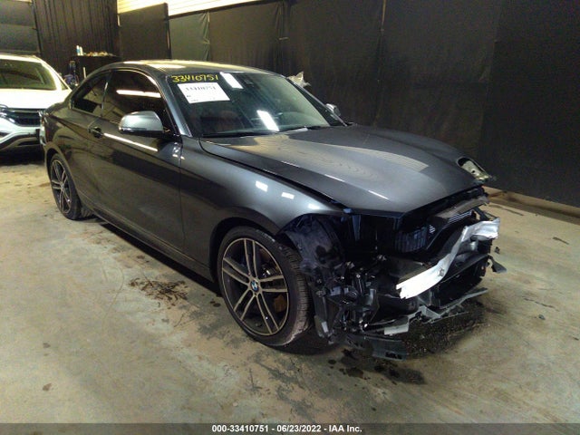 2019 BMW 2 Series, VIN: WBA2J7C58KVD61214