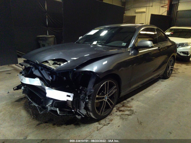 2019 BMW 2 Series, VIN: WBA2J7C58KVD61214