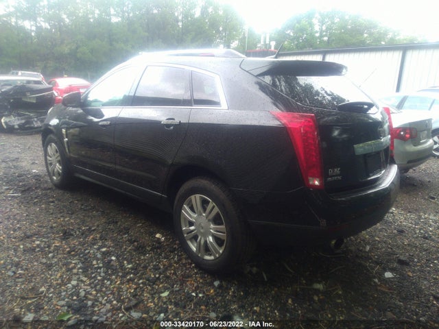 2010 CADILLAC SRX LUXURY COLLECTION VIN: 3GYFNAEY8AS634807