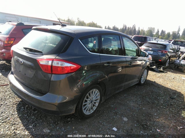 2016 Ford C-Max, VIN: 1FADP5CUXGL110822
