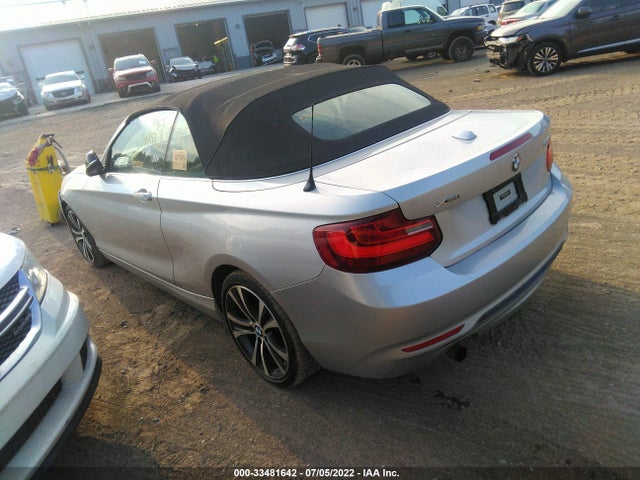 2015 BMW 2 Series, VIN: WBA1K7C52FV235068
