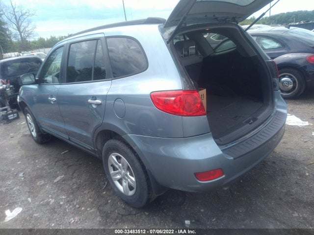 2009 HYUNDAI SANTA FE GLS VIN: 5NMSG13D49H308360