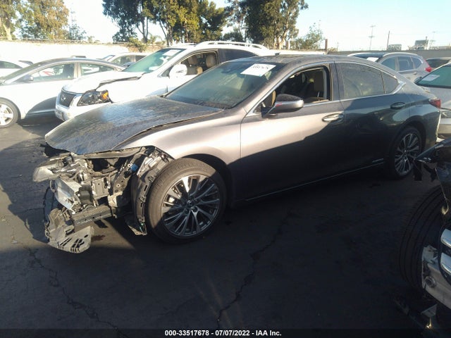 2019 Lexus ES, VIN: JTHB21B13K2008260