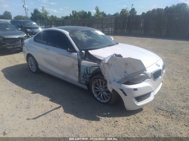 2015 BMW 2 Series, VIN: WBA1F7C55FVX95848