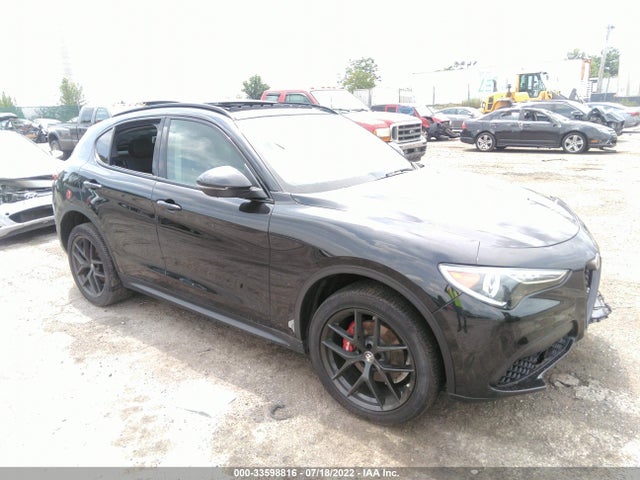 2020 Alfa Romeo Stelvio, VIN: ZASPAKAN3L7C76984