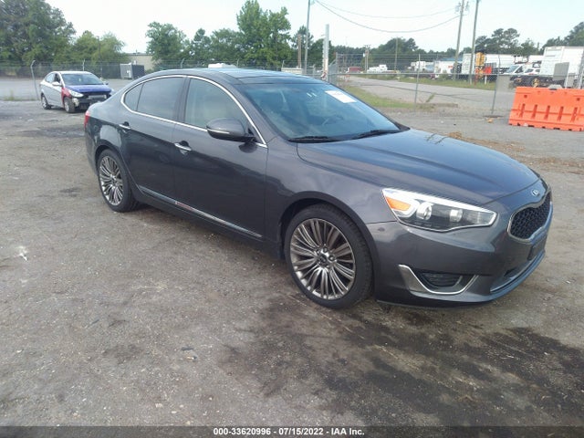 2014 Kia Cadenza, VIN: KNALN4D70E5166720