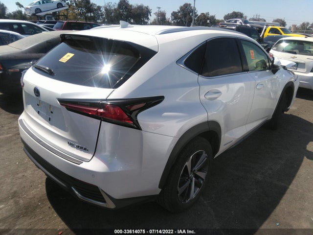 2020 Lexus NX, VIN: JTJGJRDZ9L2144340