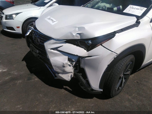 2020 Lexus NX, VIN: JTJGJRDZ9L2144340