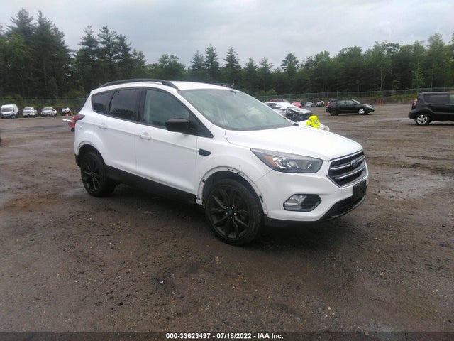 2019 Ford Escape, VIN: 1FMCU9GD4KUC33739