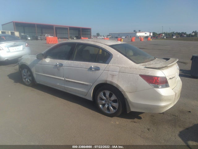2008 HONDA ACCORD SDN EX-L VIN: 1HGCP36808A047852