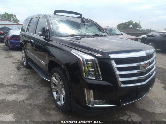 2019 Cadillac Escalade, VIN: 1GYS4BKJ6KR271961