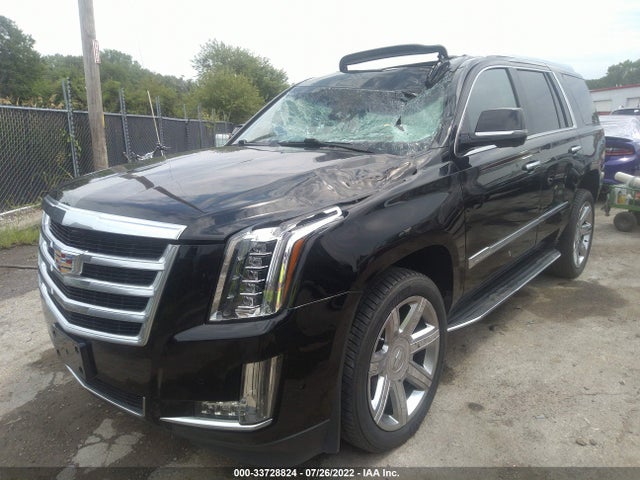 2019 Cadillac Escalade, VIN: 1GYS4BKJ6KR271961