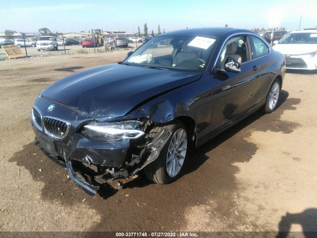 2016 BMW 2 Series, VIN: WBA1F9C53GV544842