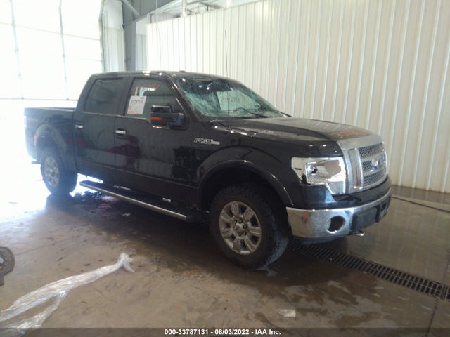 2010 FORD F-150 XL/XLT/FX4/LARIAT VIN: 1FTFW1EV7AFD66796