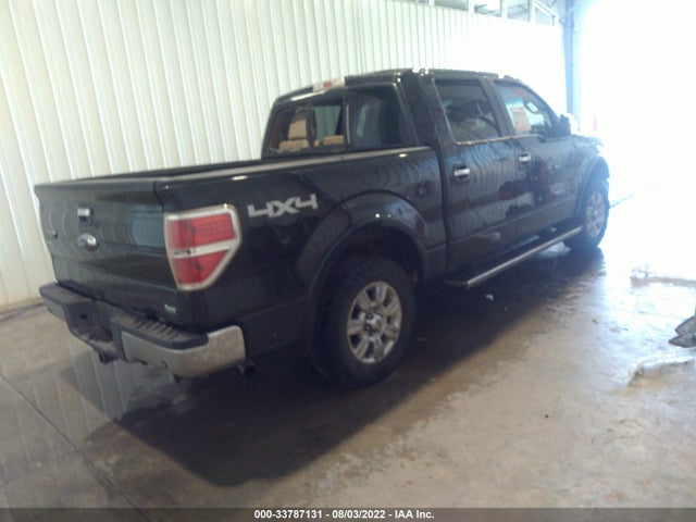 2010 FORD F-150 XL/XLT/FX4/LARIAT VIN: 1FTFW1EV7AFD66796