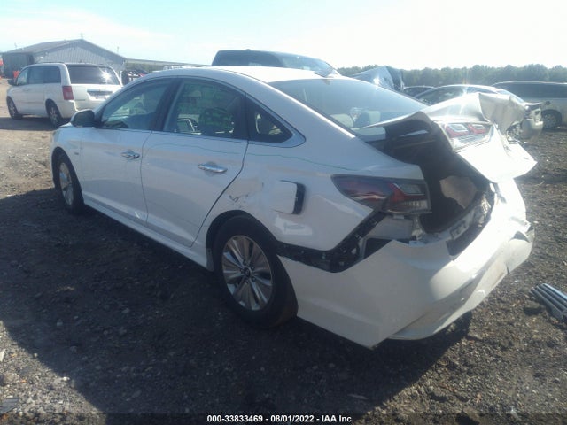 2019 Hyundai Sonata, VIN: KMHE24L30KA092619