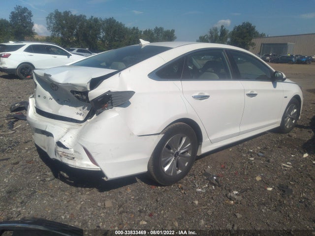 2019 Hyundai Sonata, VIN: KMHE24L30KA092619