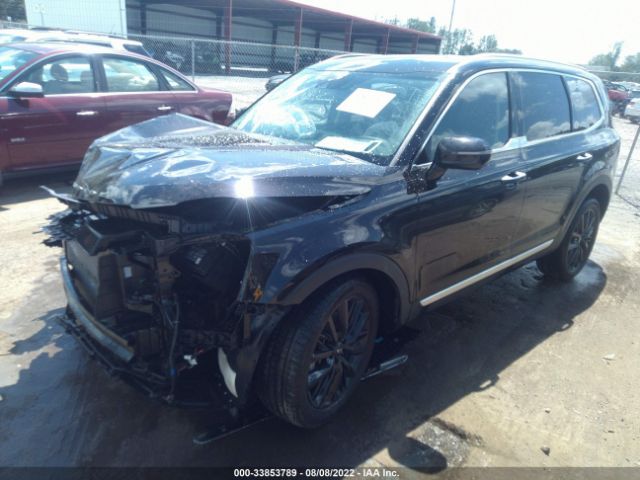 5XYP5DHC0MG185561 KIA Telluride Sx